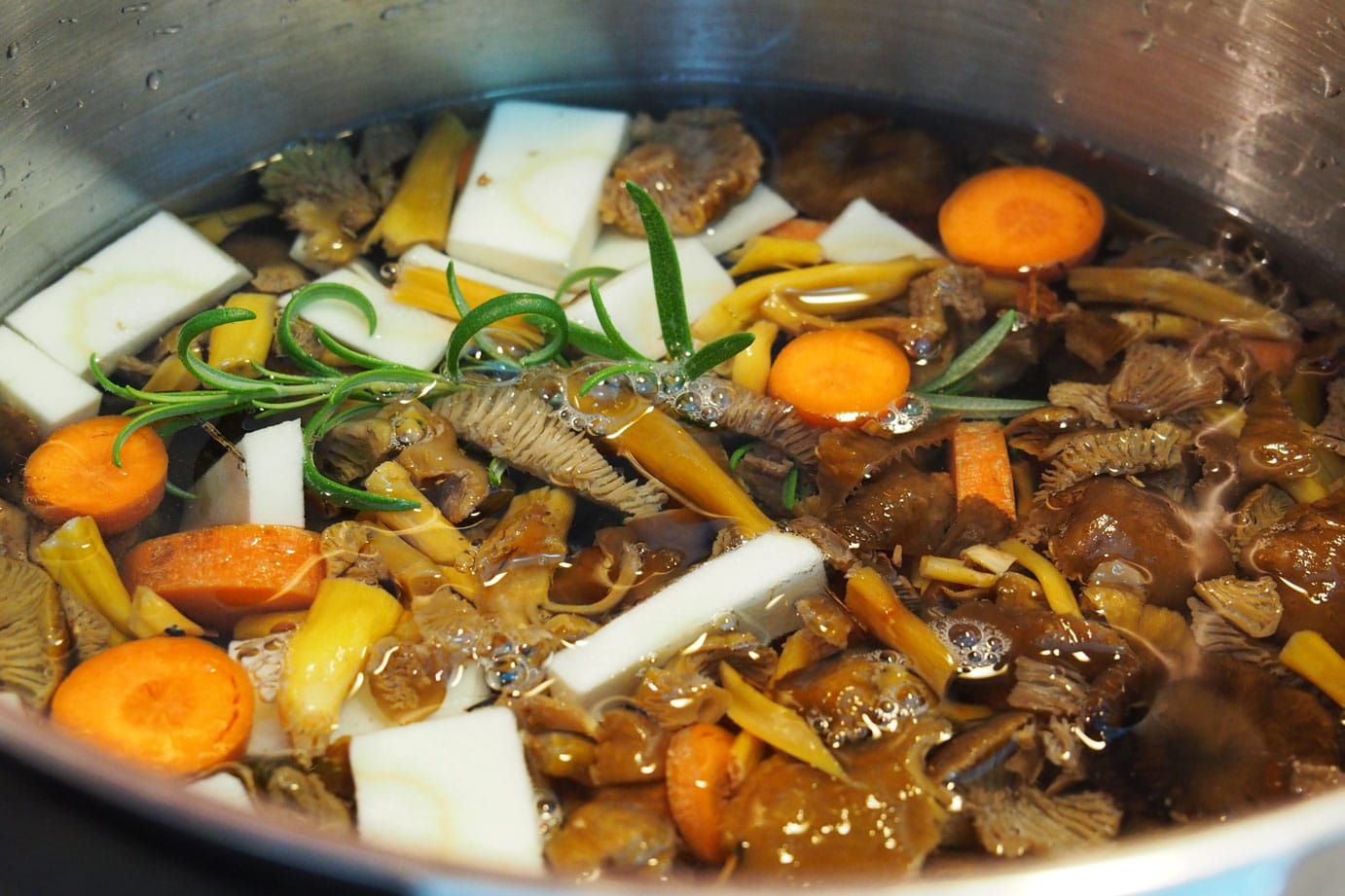 chanterelle mushroom stock